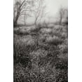 thumbnail image 2 of Geyman, Vitaly 23x32 Black Ornate Wood Framed with Double Matting Museum Art Print Titled - Country Serenity II, 2 of 4