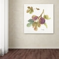 thumbnail image 3 of Trademark Fine Art 'Orchard Bloom III' Canvas Art by Lisa Audit, 3 of 3