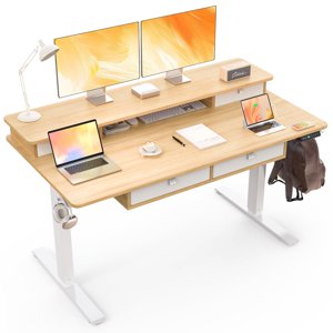 55 X 30 Inch Electric Standing Desk With 4 Drawers