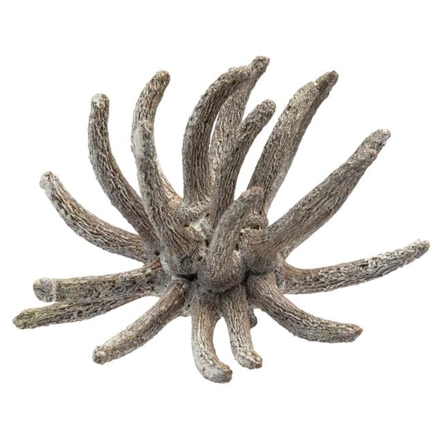 Vickerman H1SCL900 3-4 in. Frosted White Spider Claws - 16-20 Piece