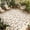 Orange, variant on Sage Green Botanical Outdoor Rug for Patio/Deck/Porch, Non-Slip Large Area Rug 6 x 9 Ft, Retro Blossom Floral Wildflower Indoor Outdoor Rugs Washable Area Rugs, Reversible Camping Rug Carpet Runner
