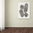 thumbnail image 3 of Trademark Fine Art 'Ballinglen Warm II v2' Canvas Art by Piper Rhue, 3 of 3