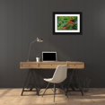 thumbnail image 3 of Richardson, Larry 32x23 Black Ornate Wood Framed with Double Matting Museum Art Print Titled - Royal Poinciana tree produces beautiful red flowers, 3 of 4