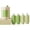 Green, variant on 4-in-1 Travel Bottle Set, Leak Proof Travel Size Toiletries Containers Portable Refillable Liquid Lotion Dispenser for Shampoo Conditioner Soap Cosmetic Items, Pink