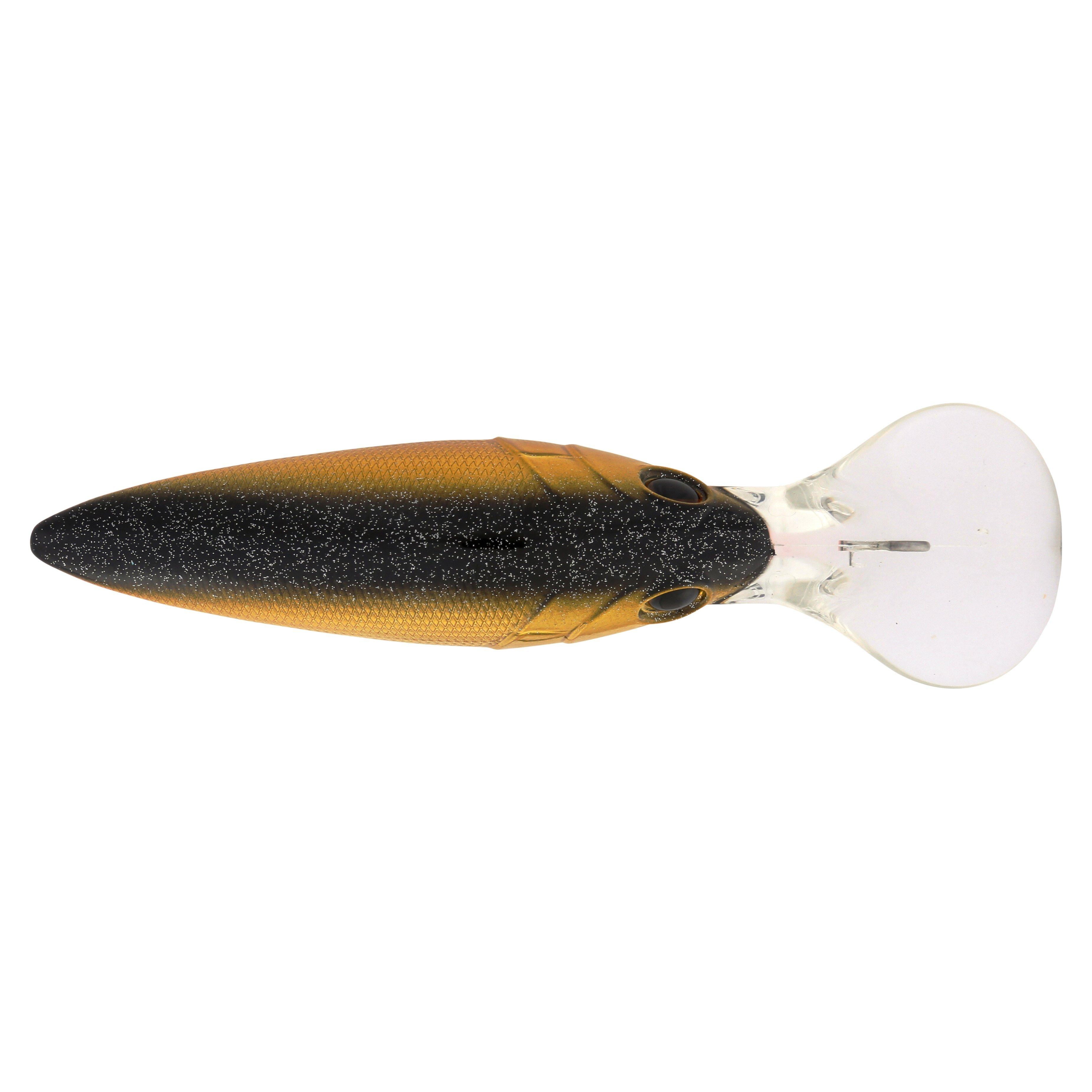 Berkley Money Badger, 7.25, Black Gold