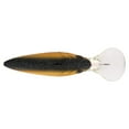 thumbnail image 4 of Berkley Money Badger, 7.25, Black Gold, 4 of 11