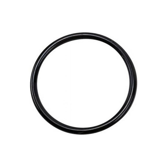 Crankshaft Position Sensor Seal