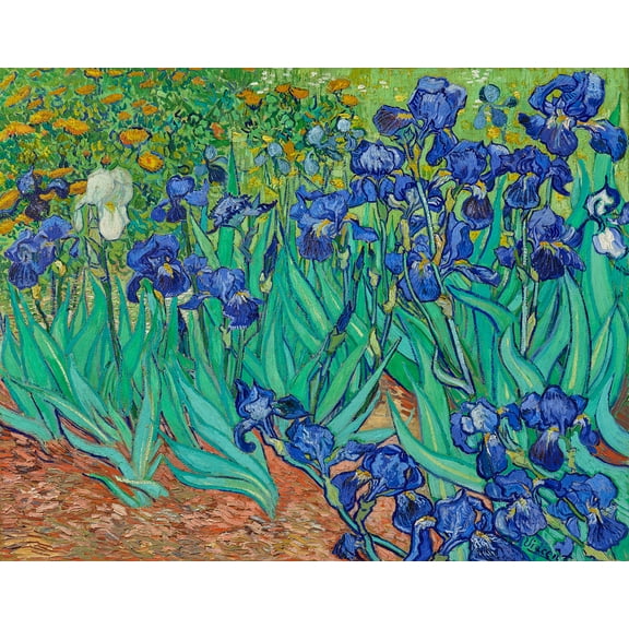 Irises by Vincent van Gogh - 12" x 18" Art Print Wall Decor