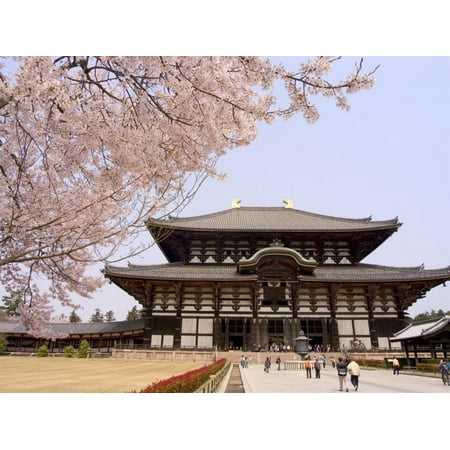Todaiji Temple - Cherry Blossoms, the Great Buddha Hall, Todaiji Temple, Nara, Honshu Island, Japan Print Wall Art By Christian Kober