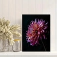 thumbnail image 2 of Deep Pink Dahlia Flower Canvas Wall Art for Living Room Bedroom Office Hallway Modern Home Decor, 2 of 8