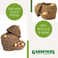 thumbnail image 4 of Potato and Onion Storage Baskets, 4 of 6