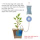 thumbnail image 5 of Dispositivo de riego automático de 3L, bolsa de agua de riego, herramienta de riego para plantas por goteo, bolsa para plantar jardines Inevent HA2270-02, 5 of 6