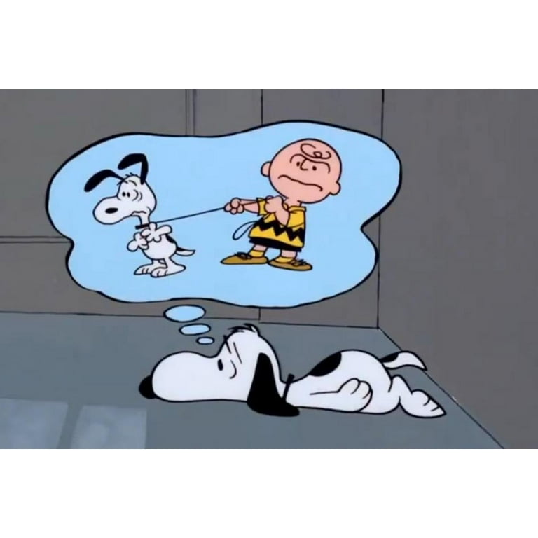 Peanuts: 1960's Collection (DVD) - Walmart.com