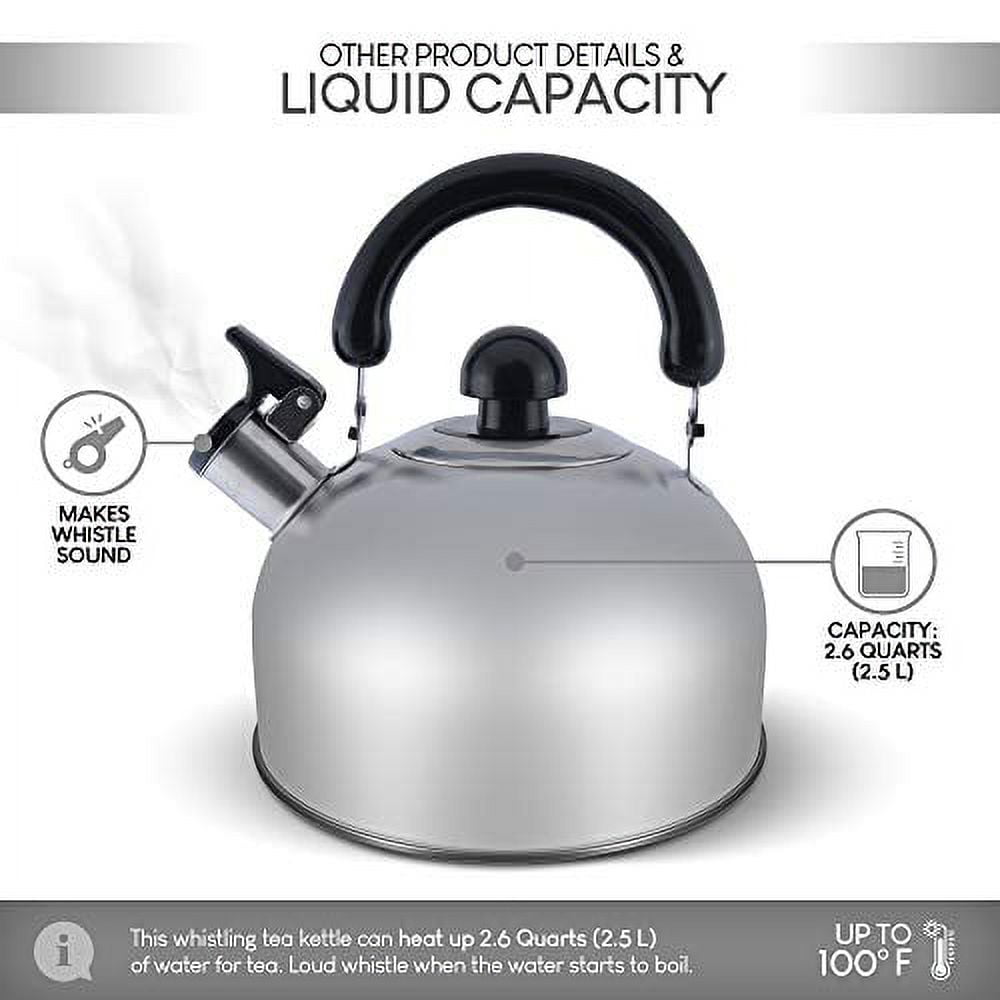Stove Top Whistling Fancy Tea Kettle Retro 2.5L Stainless Steel