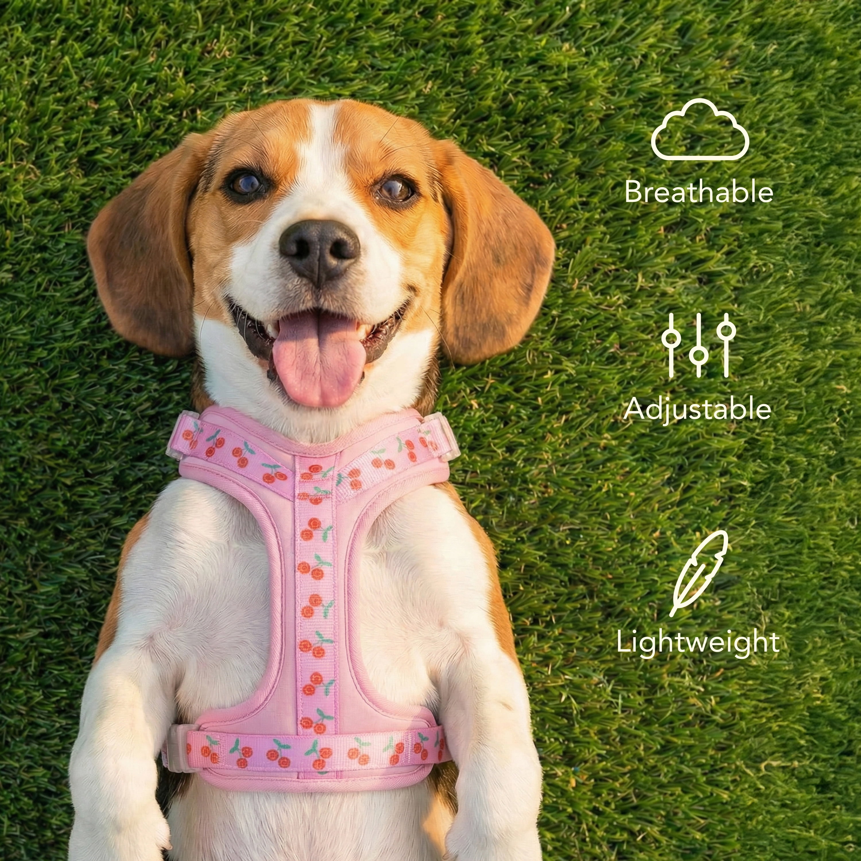 Oodles Cheeky Cherry Adjustable Mesh Dog Walking Harness, Pink, Large