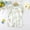 O-134 White, variant on Summer Short Sleeved Thin Newborn Clothes Baby Jumpsuit Cute Print Clothes For Boys And Open Range Climbing Clothes Short Sleeved Climbing