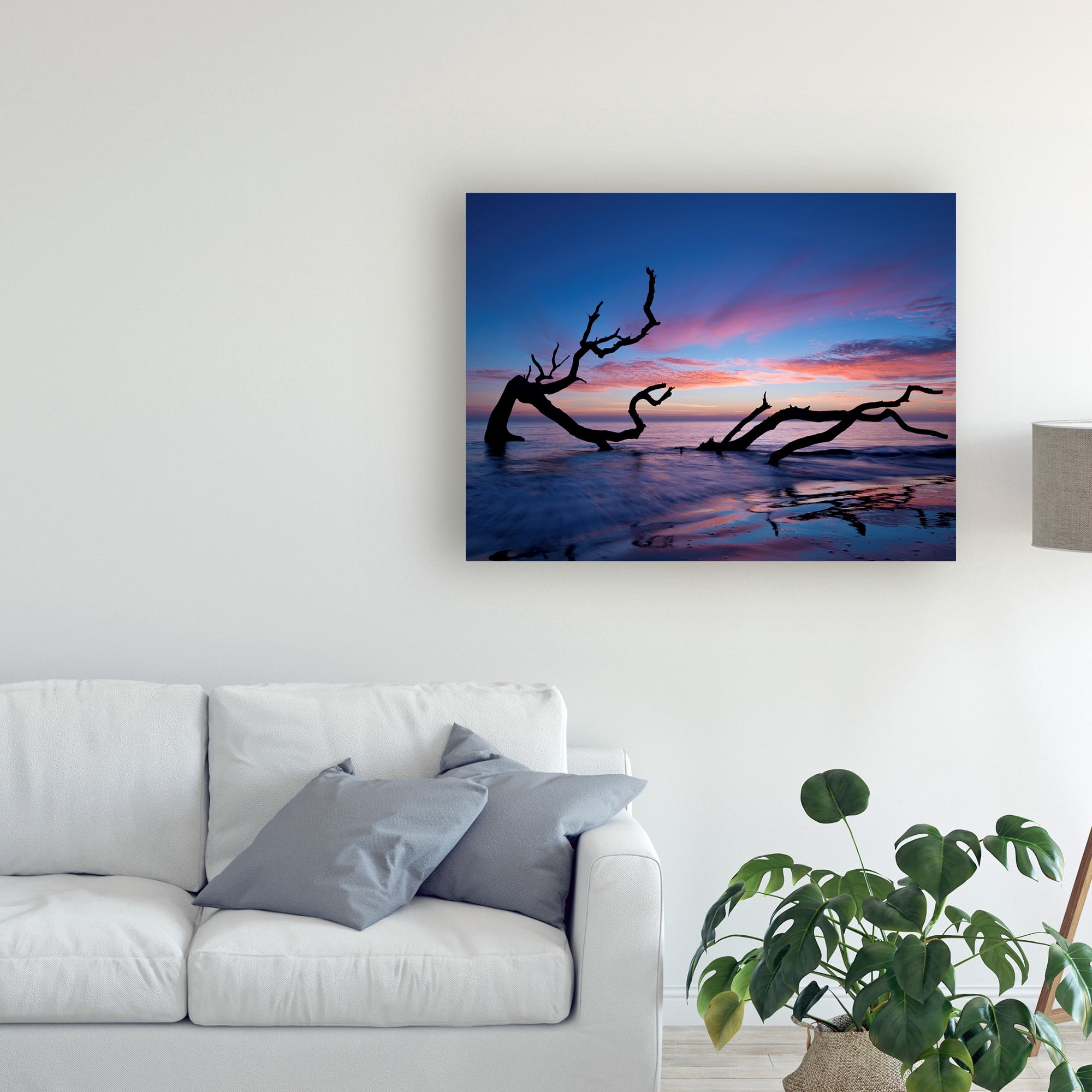 Trademark Fine Art 'Driftwood Beach' Canvas Art by PHBurchett