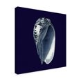 thumbnail image 2 of Trademark Fine Art 'Y SE PAPER Indigo Shells V' Canvas Art by Vision Studio, 2 of 4