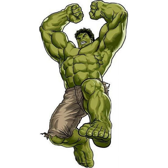 The Hulk Angry Super Heroes Colored Cartoon Character Wall Art Sticker Vinyl Decals Girls Boys Children Baby Bedroom House School Wall Decor Removable Sticker Peel and Stick Size (20x10 inch)