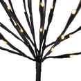 thumbnail image 3 of 20" Willow Branch-60 Warm White LEDs Light Decoration - N/A, 3 of 5