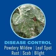 BioAdvanced Houseplant Insect & Mite Control, Ready-to-Use, 24 oz (2-Pack)