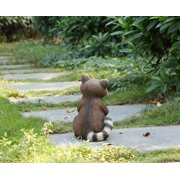 Racoon Holding Acorn