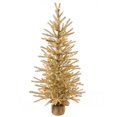 thumbnail image 1 of Vickerman B162125LED 24 in. Champagne Artificial Christmas Tree with Dura-Lit 35 Clear LED Light, 1 of 1