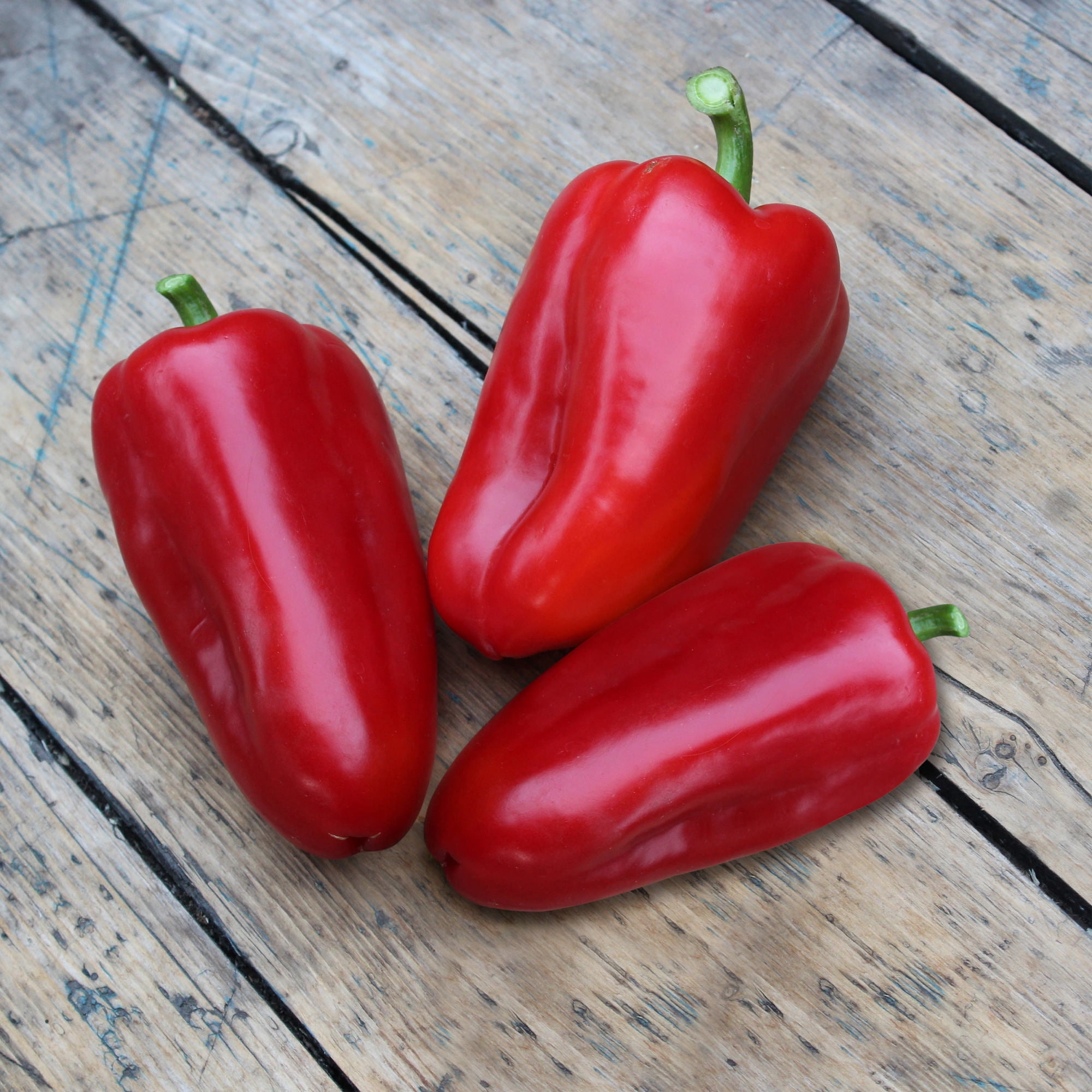 Bonnie Plants Snacking Red Pepper 19.3 oz. 2-Pack