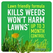 Roundup For Lawns1 with QuickHand Sprayer, Weed Killer for Use on Northern Grasses, 1.5L