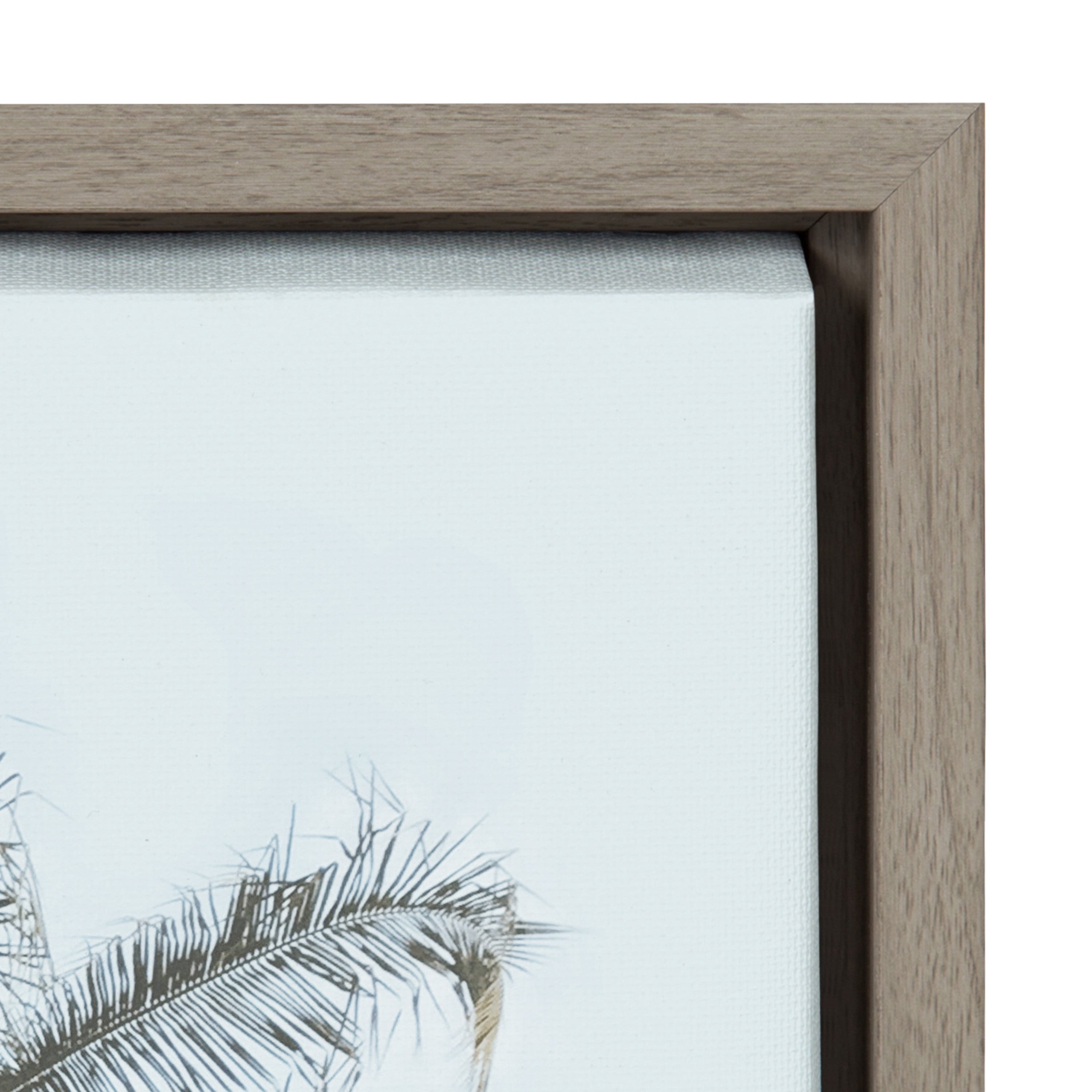 Kate and Laurel Sylvie One Coconut Palm Tree Framed Canvas Wall Art by the Creative Bunch Studio 18x24 Gray Coastal Beach Art for Wall