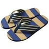 DZT1968 Men Summer Stripe Flip Flops Shoes Sandals Male Slipper Flip-flops BU/44