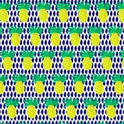 Pretty Pineapples Premium Roll Gift Wrap Wrapping Paper