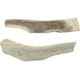 thumbnail image 3 of 7-8" Large Split Naturally Shed Elk Antler Dog Treats, 2 count, 3 of 9