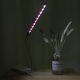 thumbnail image 1 of Mini lámpara de escritorio de 10 LED, ligera, flexible, brillante, USB, luz de mesa para ordenador portátil, PC de escritorio, color rosa, 1 of 8