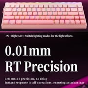 AULA Hero 68 HE 60% Wired Gaming Keyboard with Hall Effect Magnetic Switches, Adjustable Actuation, Rapid Trigger, RGB Backlight, Pink Gradient( Side-Printed, Black king Switch)