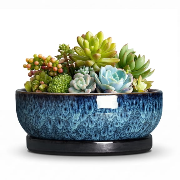Succulent Planter - 6 Inch Ceramic Bonsai Pots with Drainage Hole and Saucer, Blue