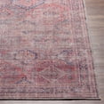 thumbnail image 5 of Surya Farrell FRL-2301 31x120" Runner Chenille Rug in Brick Red/Dark Blue, 5 of 9