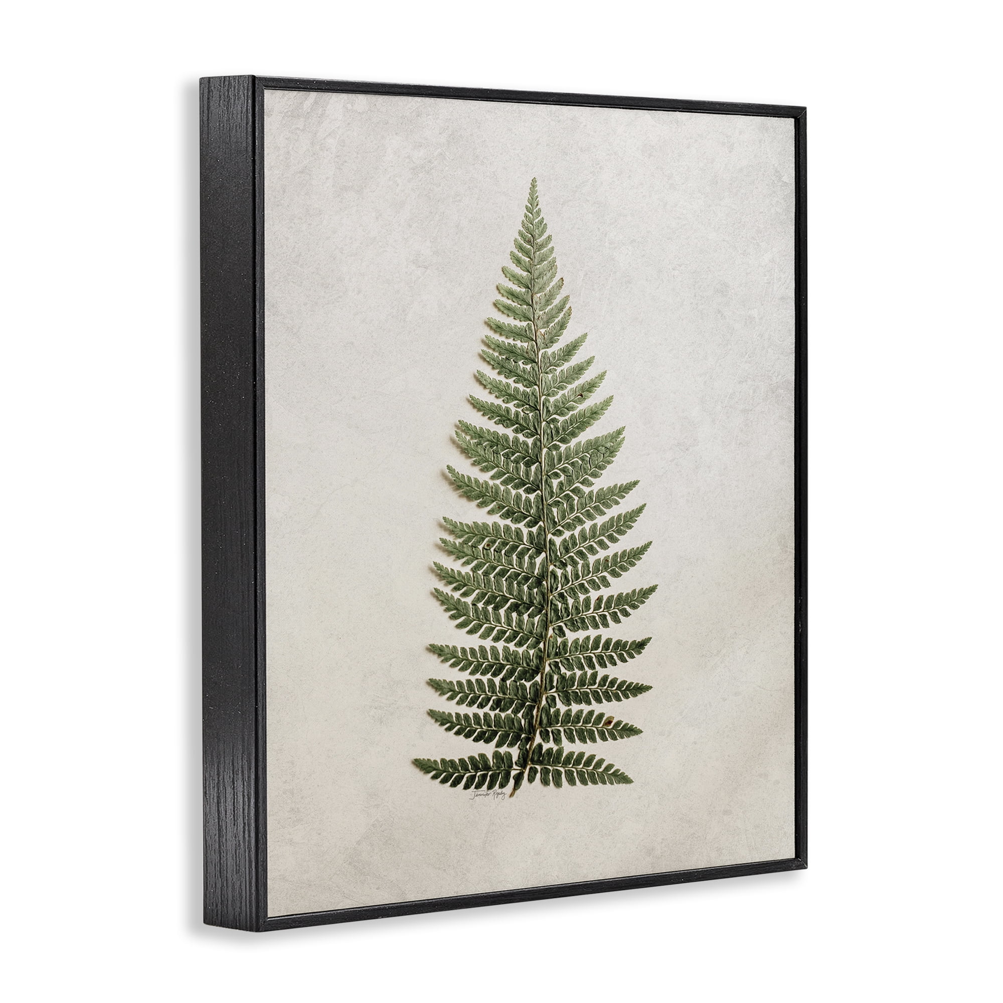 Stupell Industries Detailed Fern Leaf Botanical & Floral Painting Black Framed Art Print Wall Art, 24 x 30