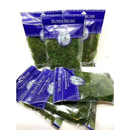 SuperMoss Preserved Spanish Moss for Terrariums, Baskets, Flowers - Pack of 6 - 0.10 LB Ea