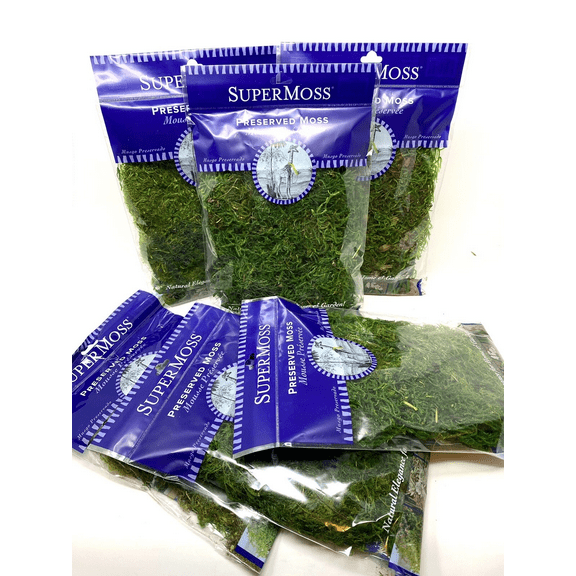 SuperMoss Preserved Spanish Moss for Terrariums, Baskets, Flowers - Pack of 6 - 0.10 LB Ea