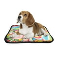 thumbnail image 2 of PKQWTM Colorful Candy Pet Dog Cat Bed Pee Pads Mat Cushion Potty Dogsblankets Crate Bed Kennel 20x24 inch, 2 of 3