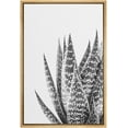 thumbnail image 3 of PixonSign Framed Canvas Print Wall Art Left Side of Zebra Succulent Botanical Flower Photography Modern Art Contemporary Dramatic Black and White for Living Room, Bedroom, Office - 16"x24" Natural, 3 of 5
