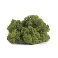 thumbnail image 2 of SuperMoss 8oz. Basil Preserved Reindeer Moss, 2 of 2