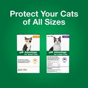 Advantage Topical Flea Treatment & Prevention For Large Cats Over 9 lbs. (2 Count)