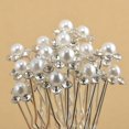 thumbnail image 1 of 20 Pcs Épingles à Cheveux en Forme de U pour Fête Bal de Promo Mariage Mariée Demoiselle d'Honneur, 1 of 5