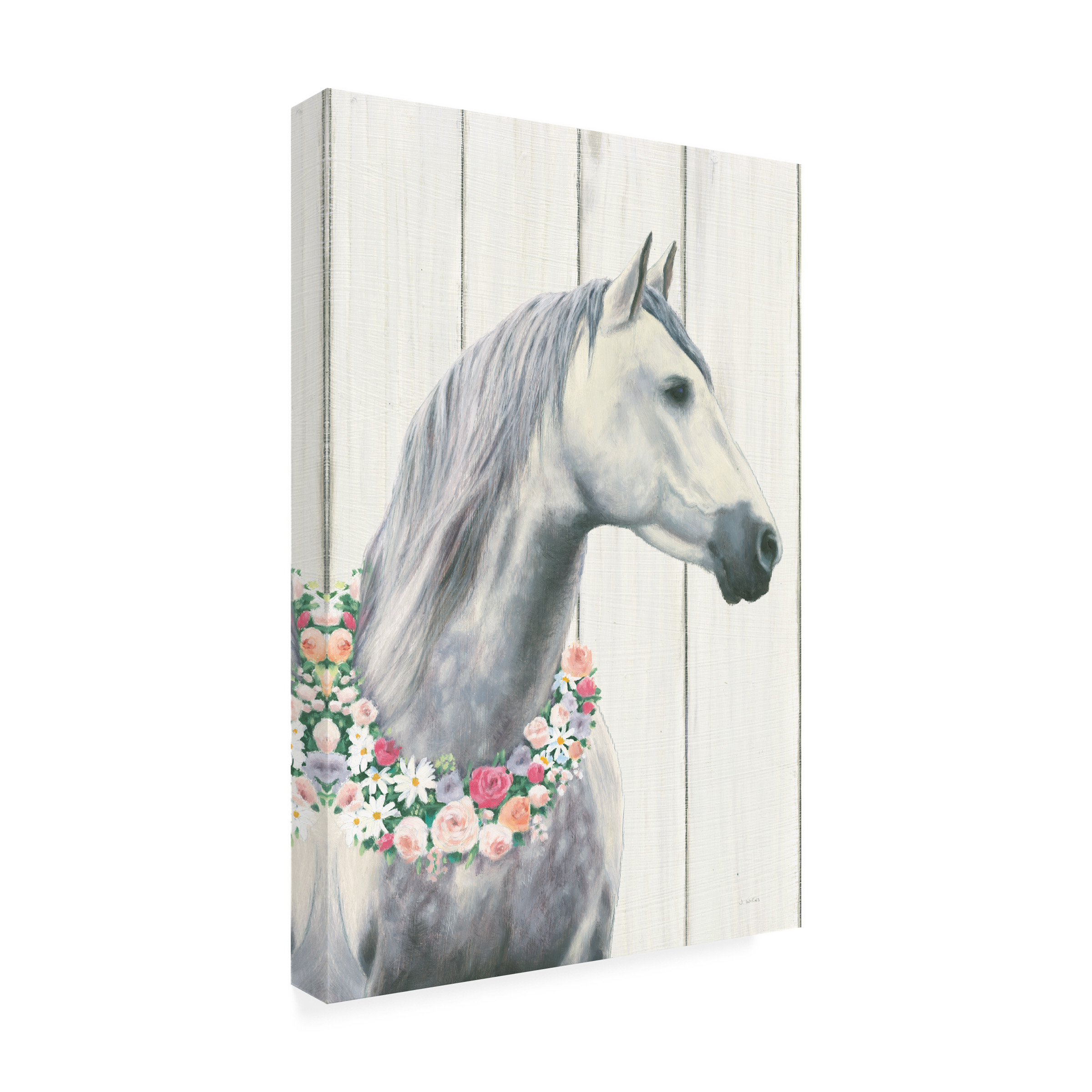 James Wiens 'Spirit Stallion I on Wood no Lace' Canvas Art