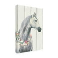 thumbnail image 4 of James Wiens 'Spirit Stallion I on Wood no Lace' Canvas Art, 4 of 4
