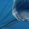 thumbnail image 3 of 3D Shark Printed 2/3 Pcs Bedding Cover Set Home Textiles Polyester Highend Duvet Cover Set,Queen (90"x90"), 3 of 5