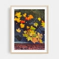 thumbnail image 2 of Autumn Leaves in Water 02 - Manhattan New York Photography Autumn Nature Botanical Scenic Water Woodland Moody Unframed Wall Art Print 9 x 12 inches, 2 of 4