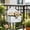 White, variant on Galvanized Metal Flower Buckets, Multi-use Decor Containers for Indoor Outdoor Household Patio Garden Ornament, Small Metal Planter Vases